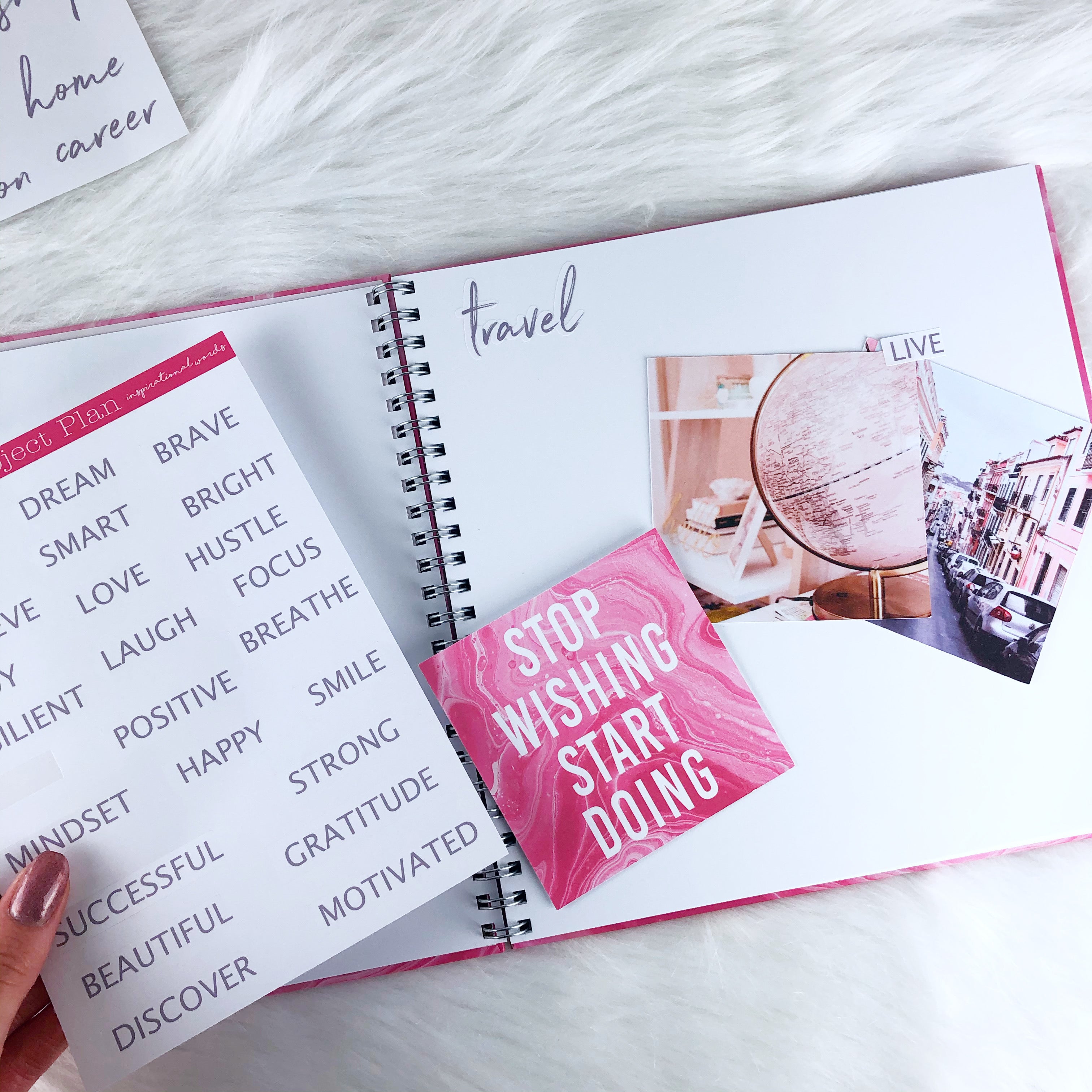 The Project Plan Vision Book | Pink Swirl